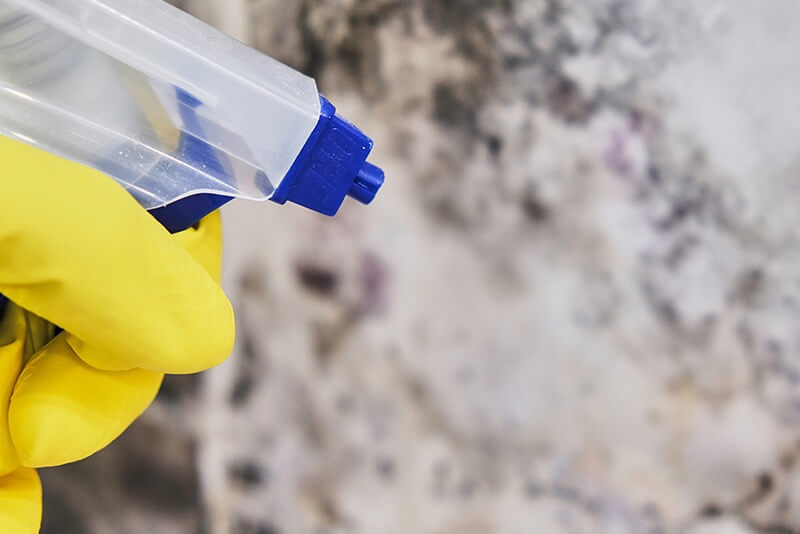 NTCSC Handy Guide To Mould Removal & Clean Up