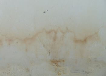 NTCSC Lingering Odours And Discolouration