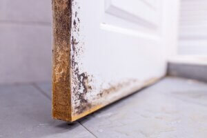 NTCSC Restoring Comfort Through Proper Hoarder Cleanup