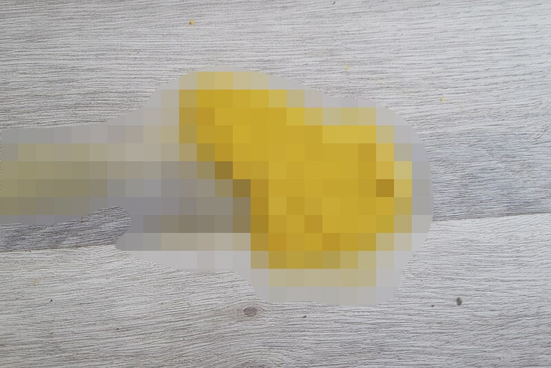 NTCSC A Homeowner’s Guide to Faeces, Urine and Vomit Cleanup Services