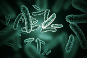 NTCSC Health Risks You Should Never Ignore